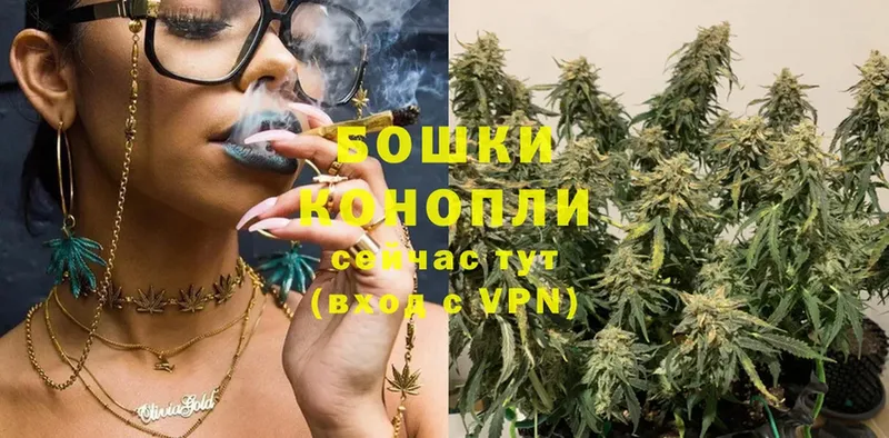 Бошки марихуана OG Kush  купить  сайты  Кондрово 